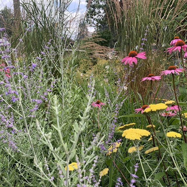 gravel-garden-2022-43-1