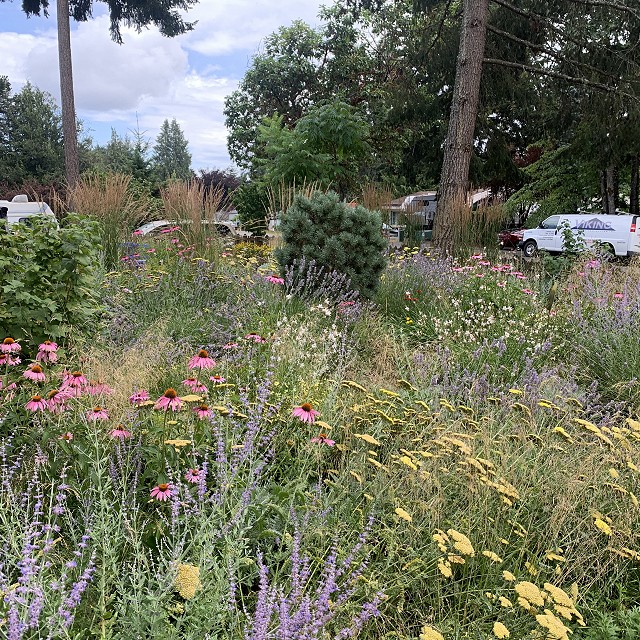 gravel-garden-2022-48