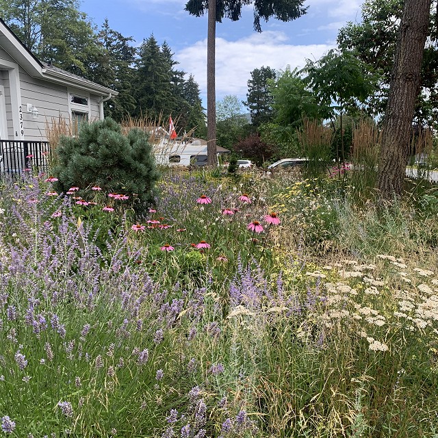 gravel-garden-2022-49