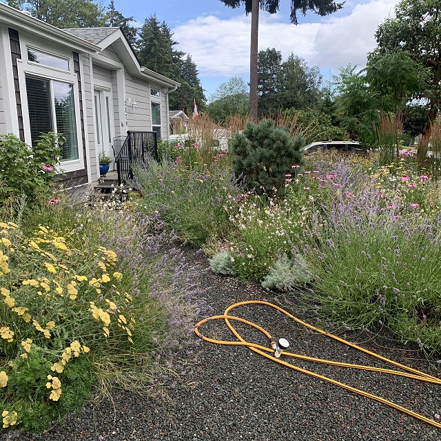 gravel-garden-2022-50