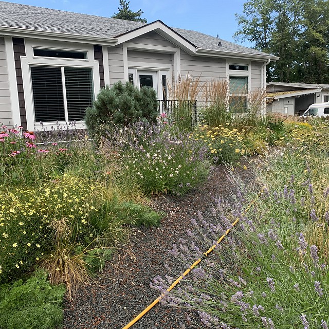 gravel-garden-2022-51