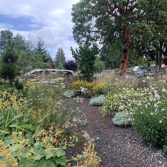 gravel-garden-2022-52