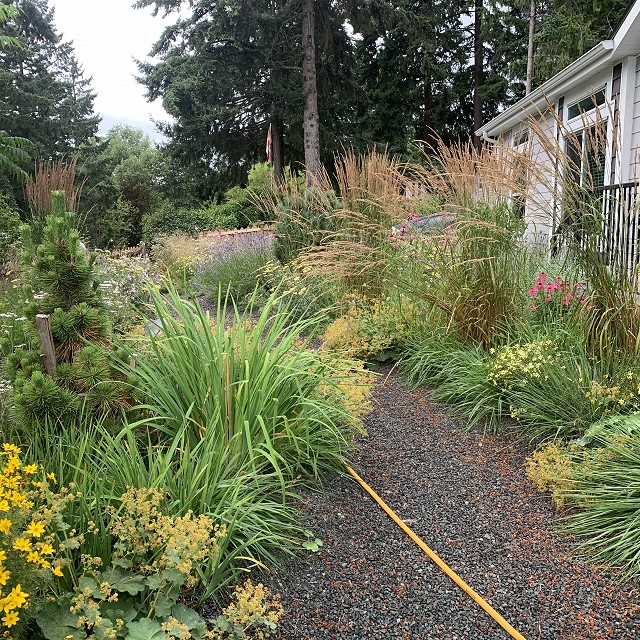 gravel-garden-2022-53