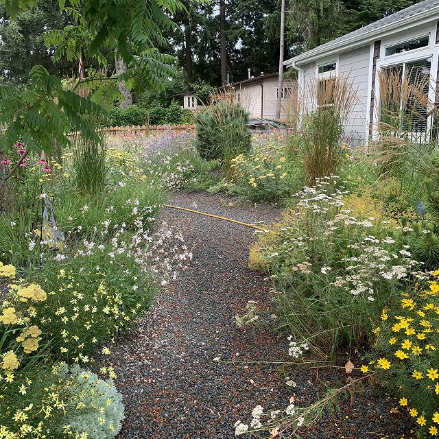 gravel-garden-2022-54