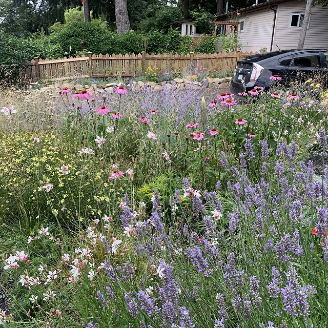 gravel-garden-2022-55