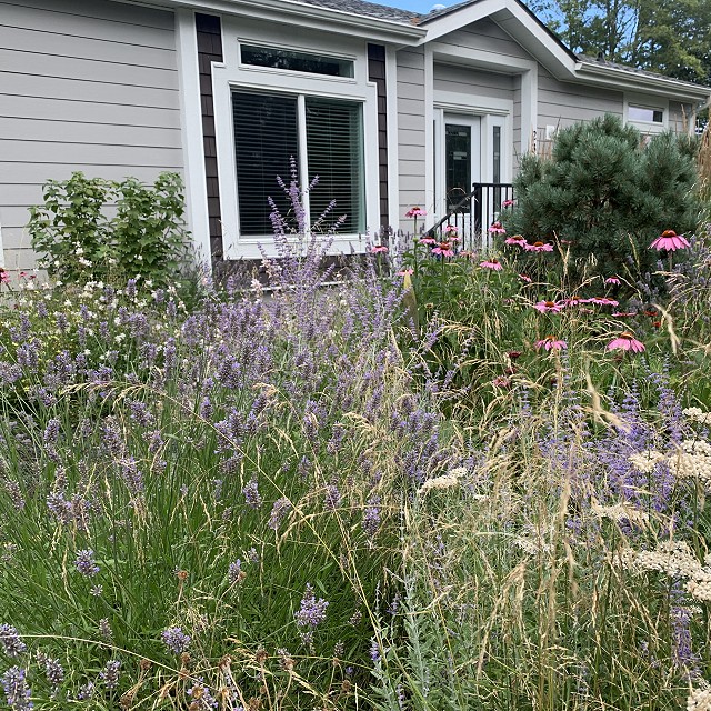 gravel-garden-2022-58