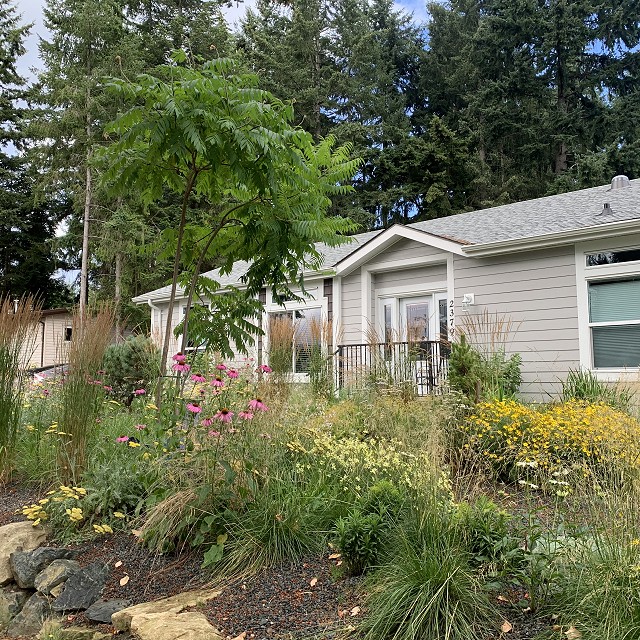 gravel-garden-2022-59