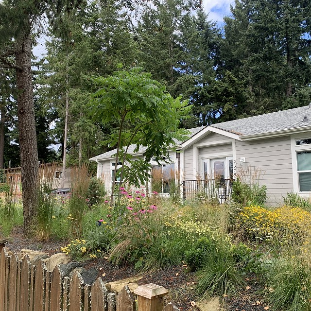 gravel-garden-2022-61