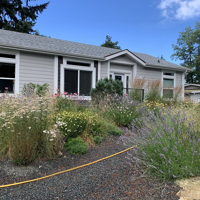 gravel-garden-2022-64
