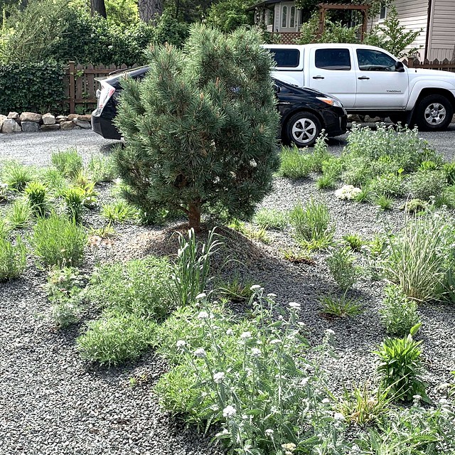 gravel-garden-north-arrow-landscapes14-1