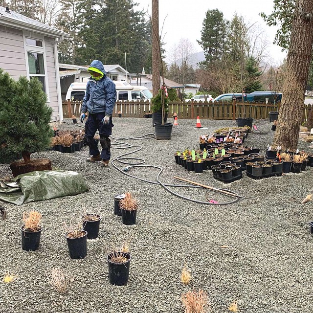 gravel-garden-north-arrow-landscapes6-1