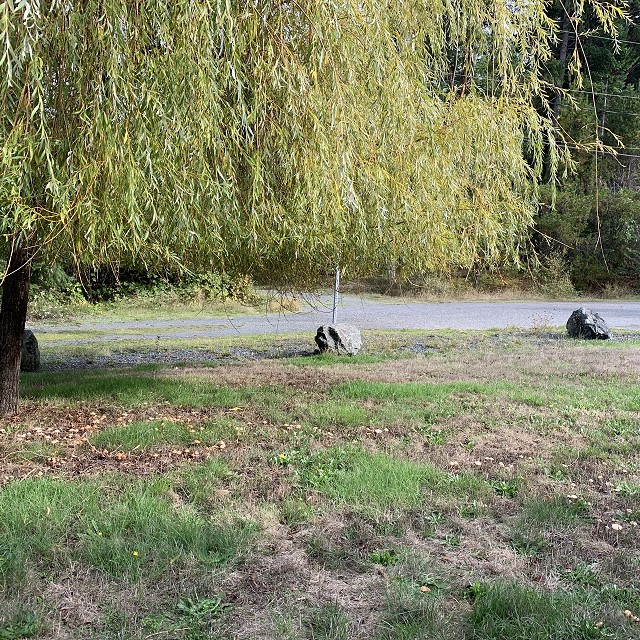 higgin-garden-nanaimo-07