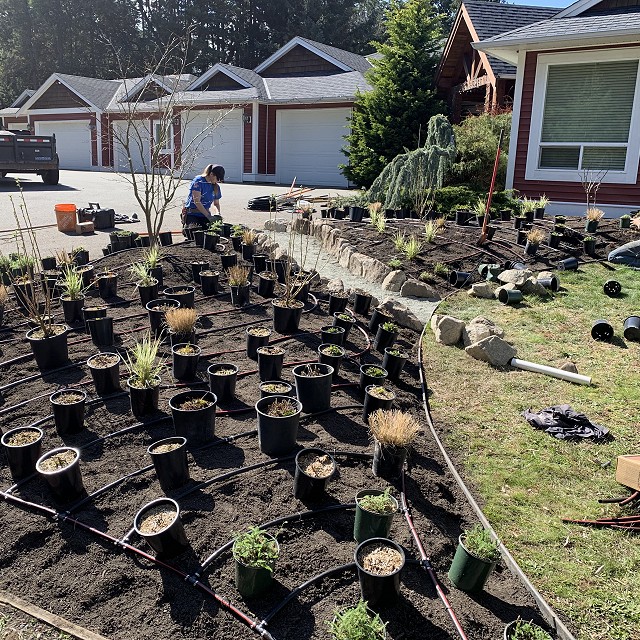 higgin-garden-nanaimo-17