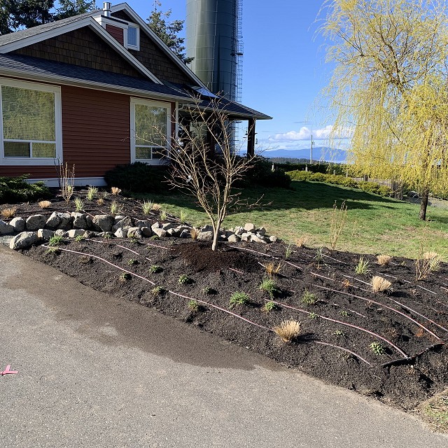 higgin-garden-nanaimo-18