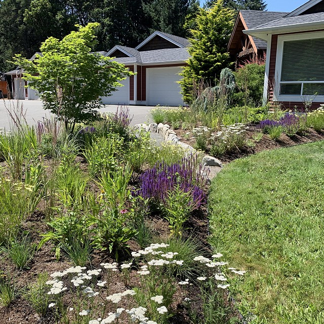 higgin-garden-nanaimo-37