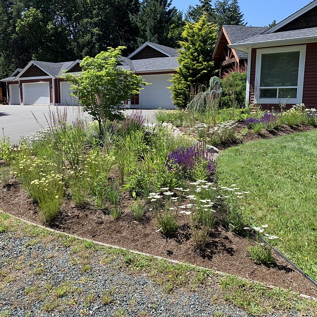 higgin-garden-nanaimo-38