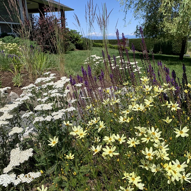 higgin-garden-nanaimo-40