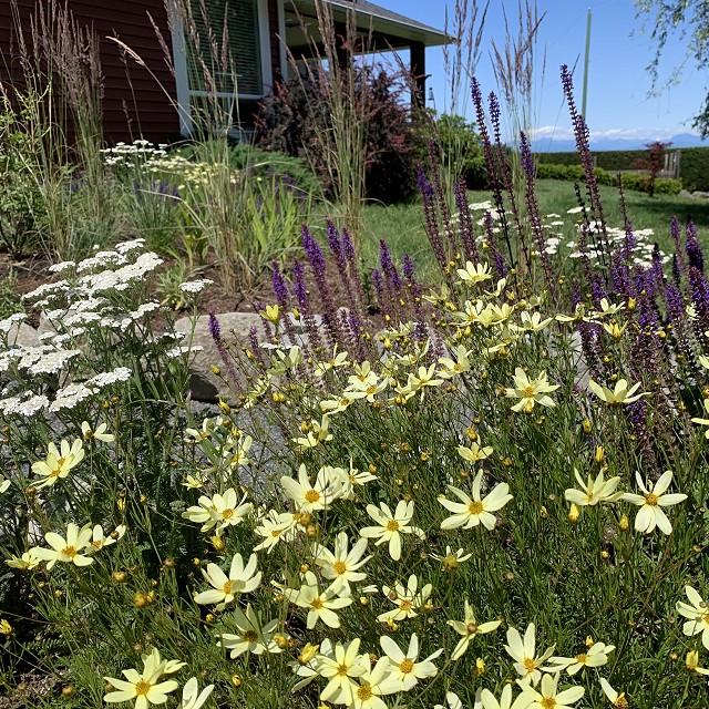 higgin-garden-nanaimo-41-1