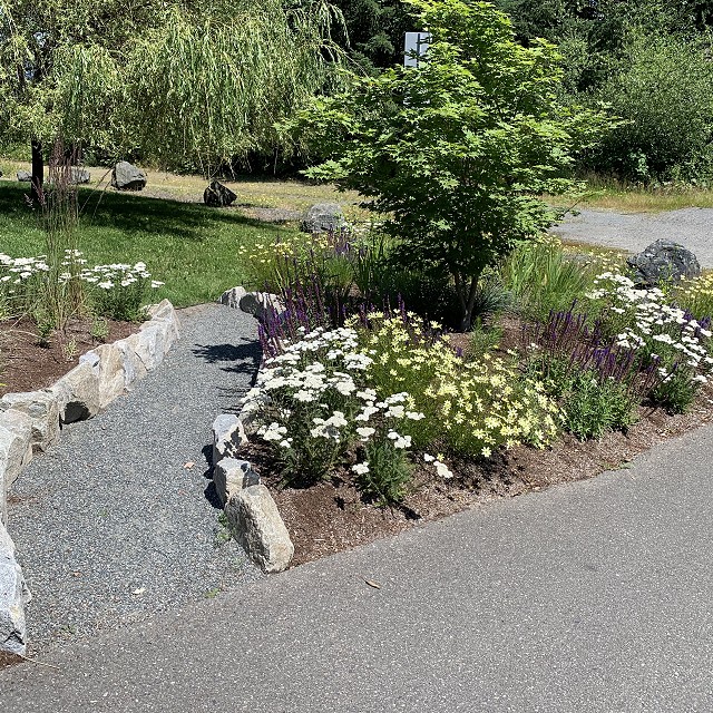 higgin-garden-nanaimo-43