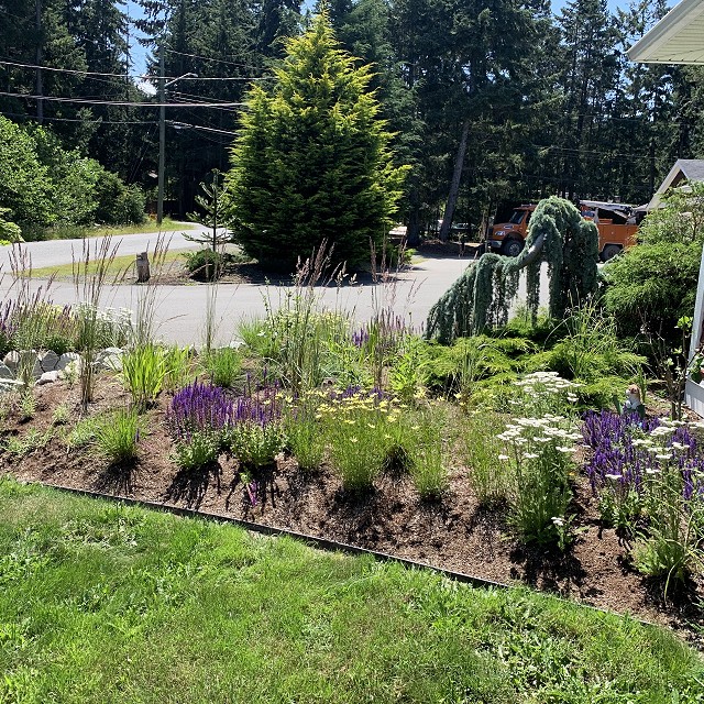 higgin-garden-nanaimo-45