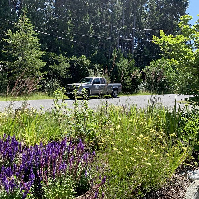 higgin-garden-nanaimo-48