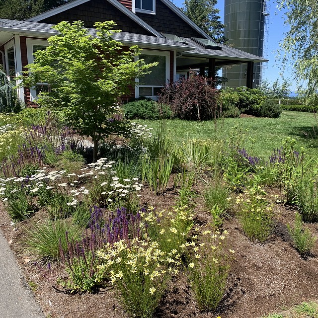 higgin-garden-nanaimo-49