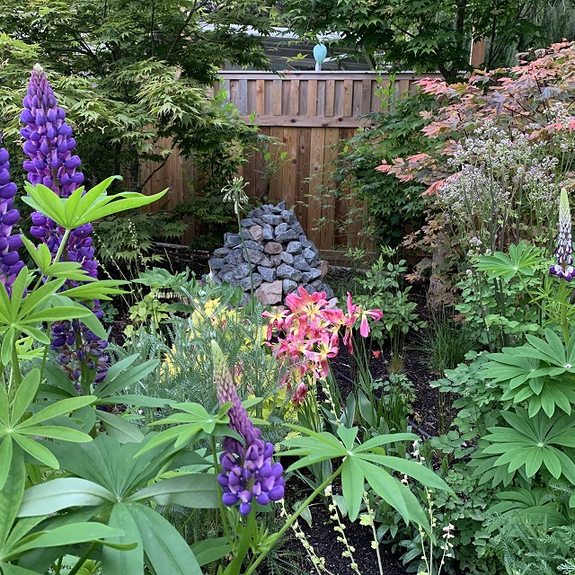 home-garden-landscape-nanaimo-01-1