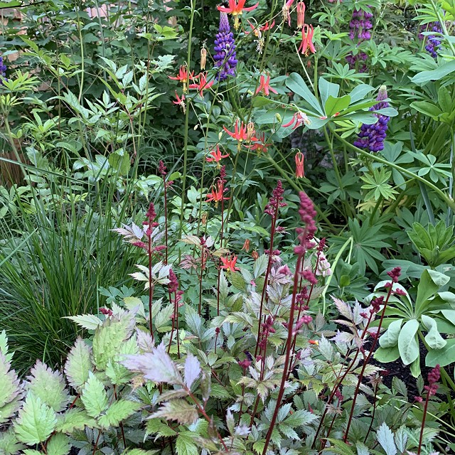 home-garden-landscape-nanaimo-02
