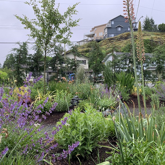 home-garden-landscape-nanaimo-04