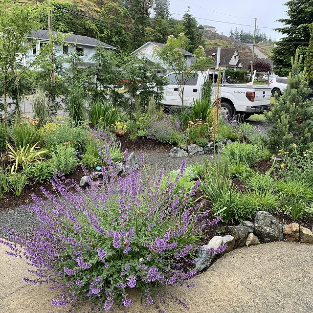 home-garden-landscape-nanaimo-05