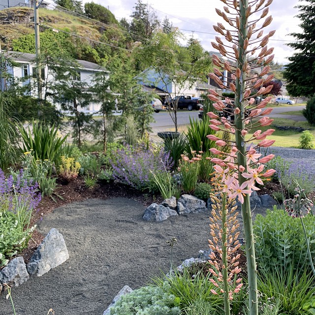 home-garden-landscape-nanaimo-06