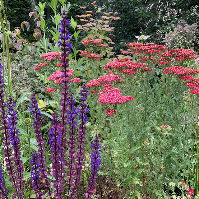 home-garden-landscape-nanaimo-09