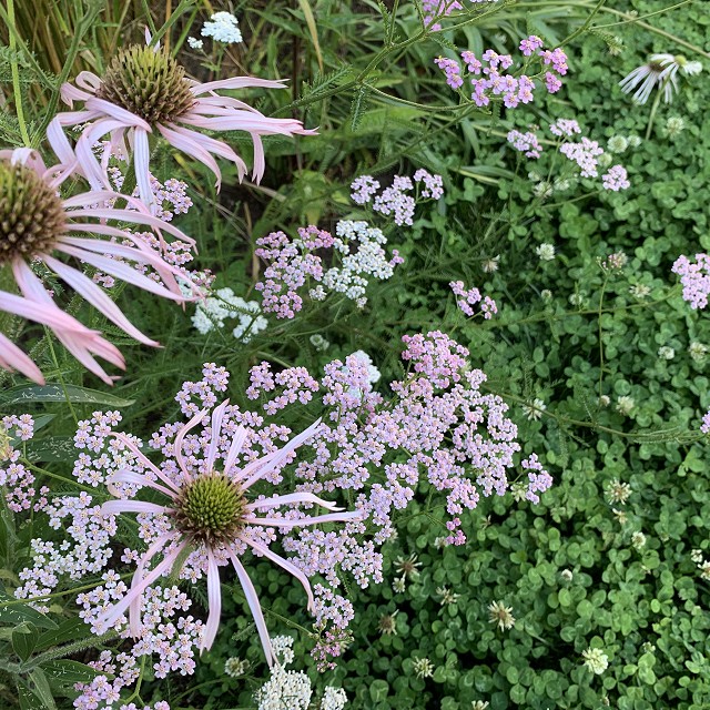 home-garden-landscape-nanaimo-10
