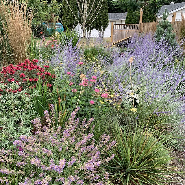 home-garden-landscape-nanaimo-11
