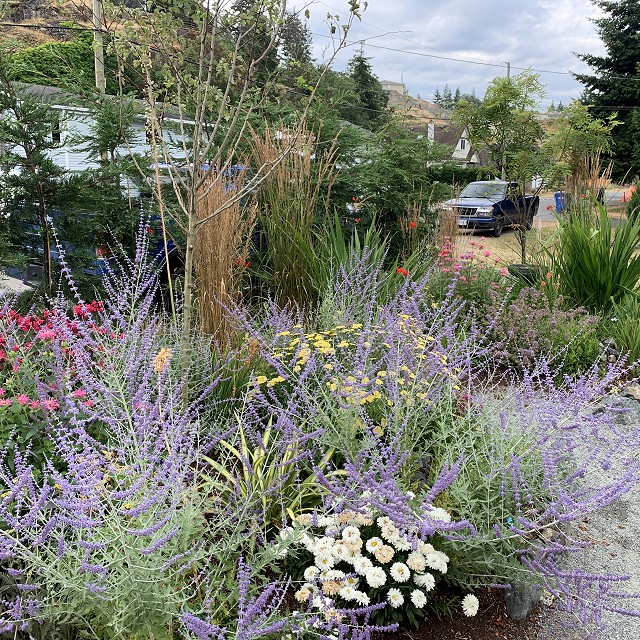 home-garden-landscape-nanaimo-13