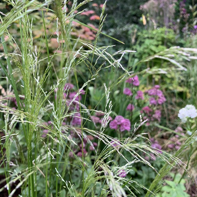 home-garden-landscape-nanaimo-15