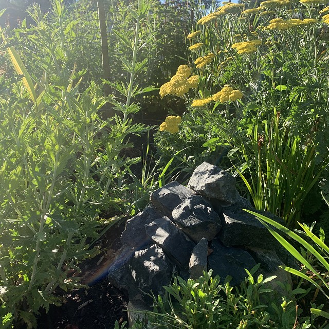 home-garden-landscape-nanaimo-16