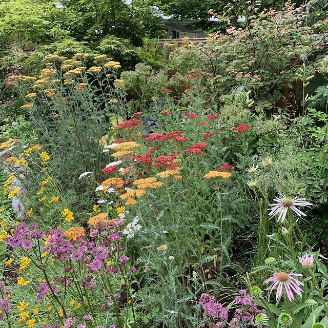 home-garden-landscape-nanaimo-18-1