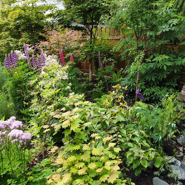 home-garden-landscape-nanaimo-19