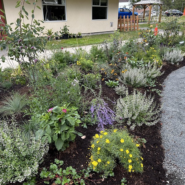 kiwanis-garden-landscape-16