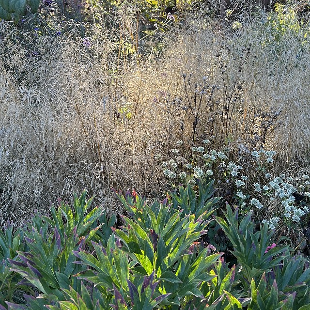 kiwanis-garden-landscape-25