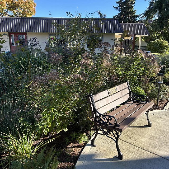 kiwanis-garden-landscape-26