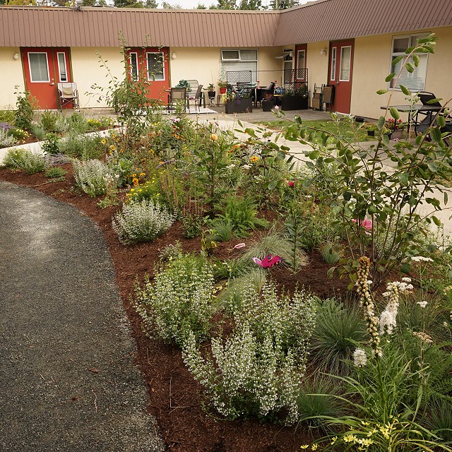 kiwanis-garden-landscape-29