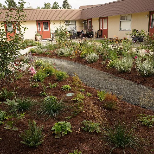 kiwanis-garden-landscape-32