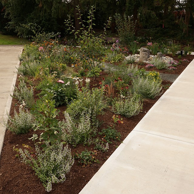 kiwanis-garden-landscape-34