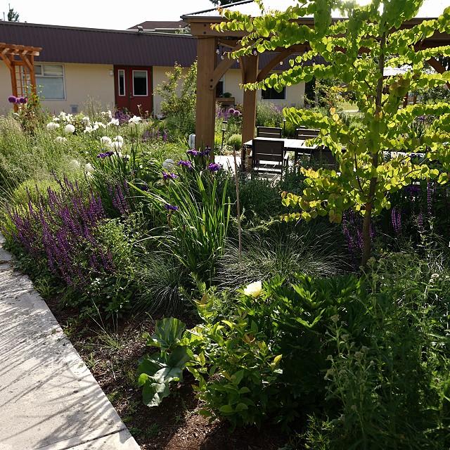 kiwanis-garden-landscape-36