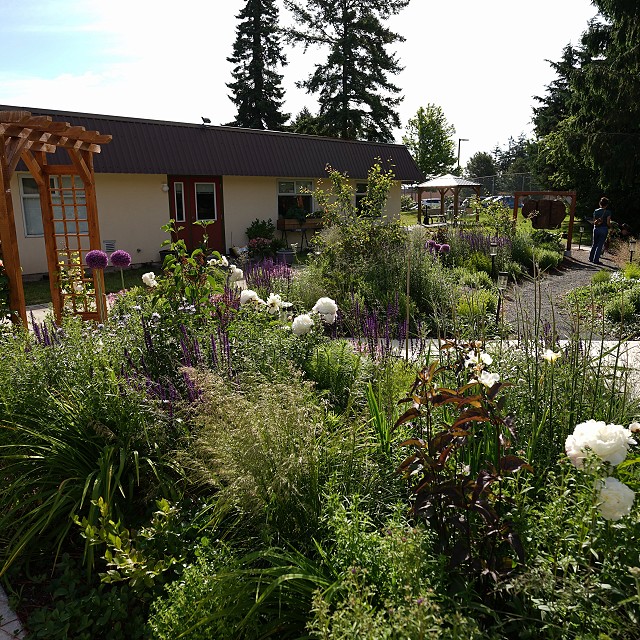 kiwanis-garden-landscape-37