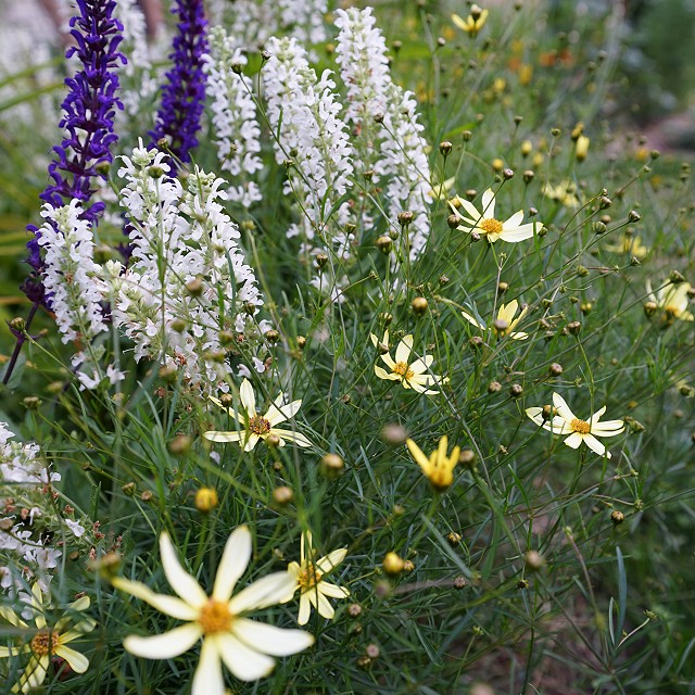 north-arrow-landscapes-nanaimo-08-1