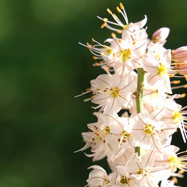 north-arrow-landscapes-nanaimo-21-1