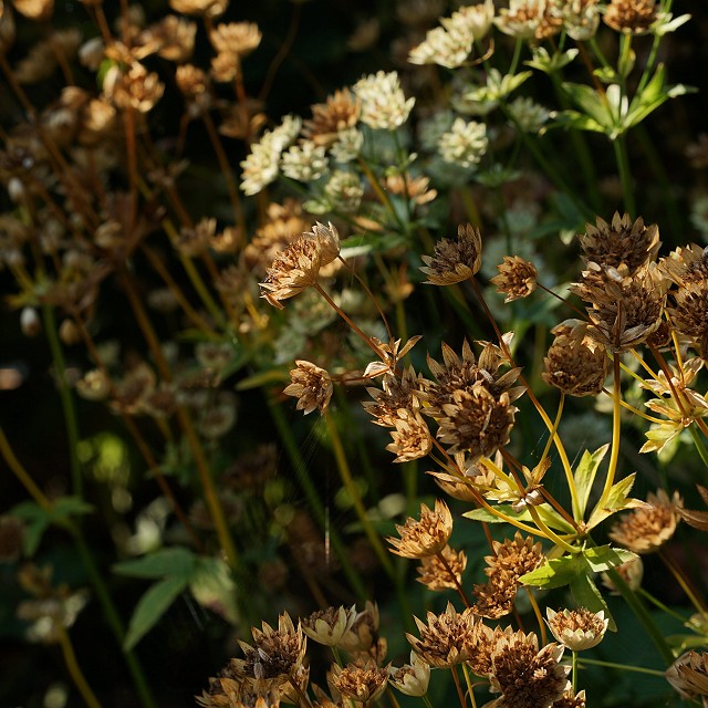 north-arrow-landscapes-nanaimo-24-1